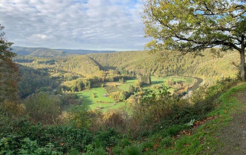 Le Cottage De Christine Vresse-sur-Semois Exteriör bild